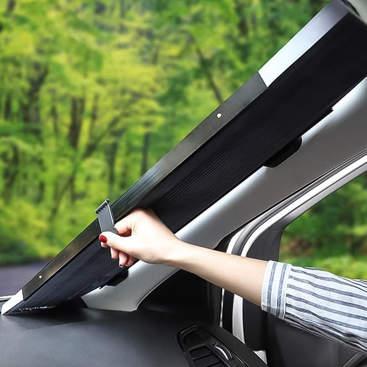 Retractable roller sun shade fixed across a car windshield with suction cups, view 2